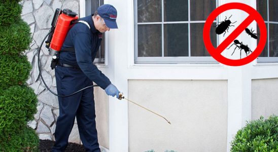 Sarıyahşi Dezenfeksiyon böcek ilaçlama ve haşere kontrolü — ilaclama-tr.com